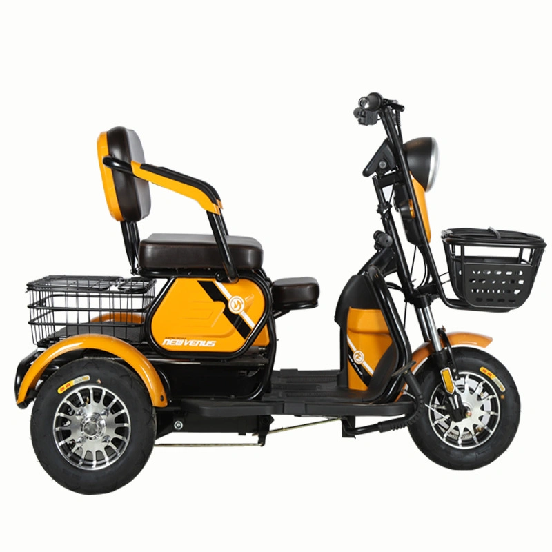 Il logo Endurance da 35 km pu&#242; essere personalizzato per la bicicletta elettrica a tre ruote Tricicli adulti