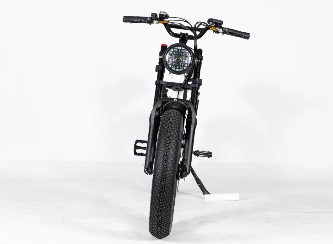 Bicicletta elettrica da 48 V 500 W con scooter elettrico a ruote fat
