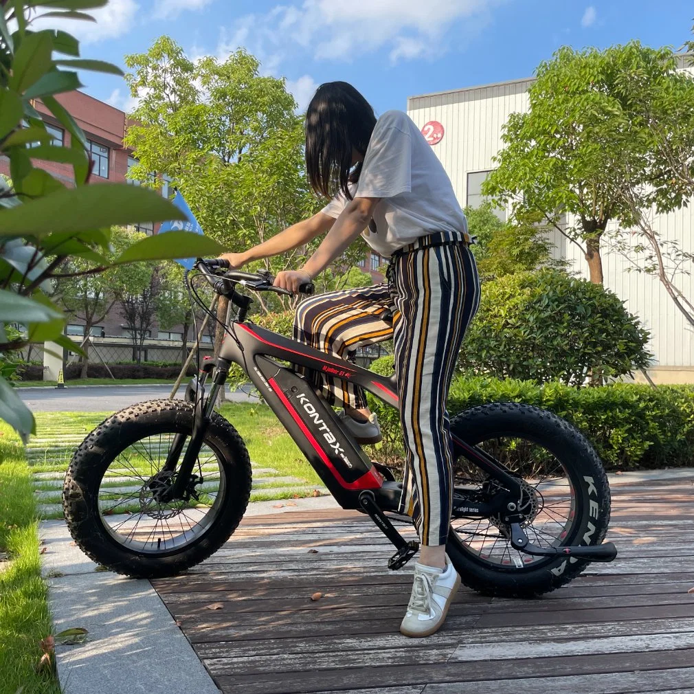 Bici elettrica da 500 750 pollici Dirtbike 20 26 Bici elettrica