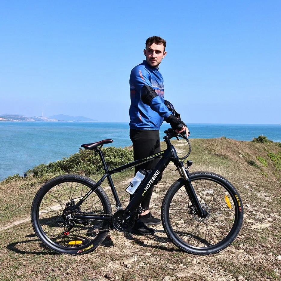 Stock Ebike Hard Tail 26 27.5 pollici 29er 250W e Mountain Bike bicicletta elettrica per adulti