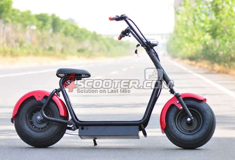 La nuovissima bicicletta elettrica brevettata con potenza di 800 W.