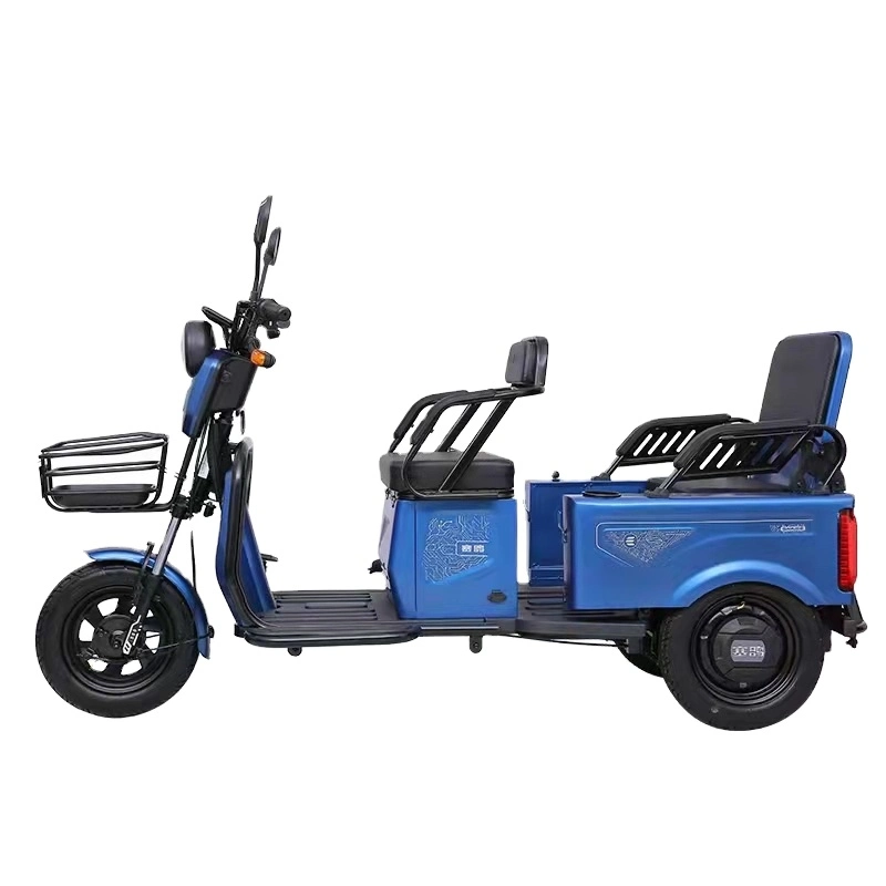 Bicicletta elettrica a tre ruote Saige EEC con triciclo elettrico a pedale da 1000 W. Per Disabilitato