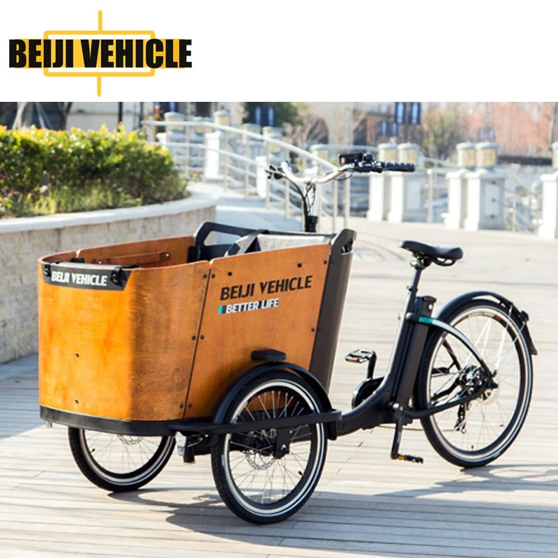 Bicicletta da carico tre ruote trike elettriche per trasporto bambino O Frocery uso familiare