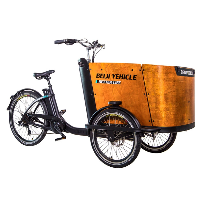 Bicicletta da carico tre ruote trike elettriche per trasporto bambino O Frocery uso familiare