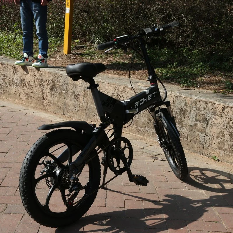 Bicicletta elettrica a due ruote e da 28 km, 250 W, 350 W, 20 Mini bicicletta elettrica ripiegata ODM