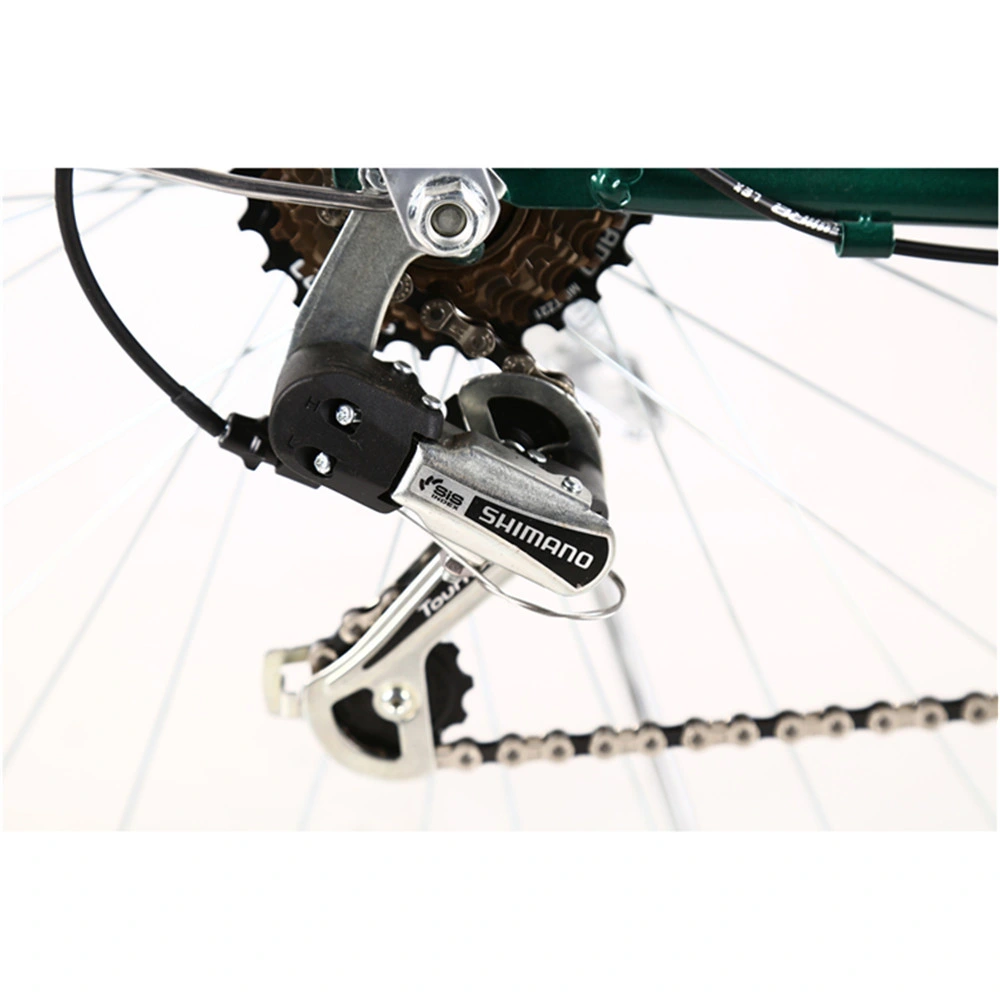 Bicicletta olandese da donna/bicicletta olandese da donna/bicicletta per citt&#224; pesante