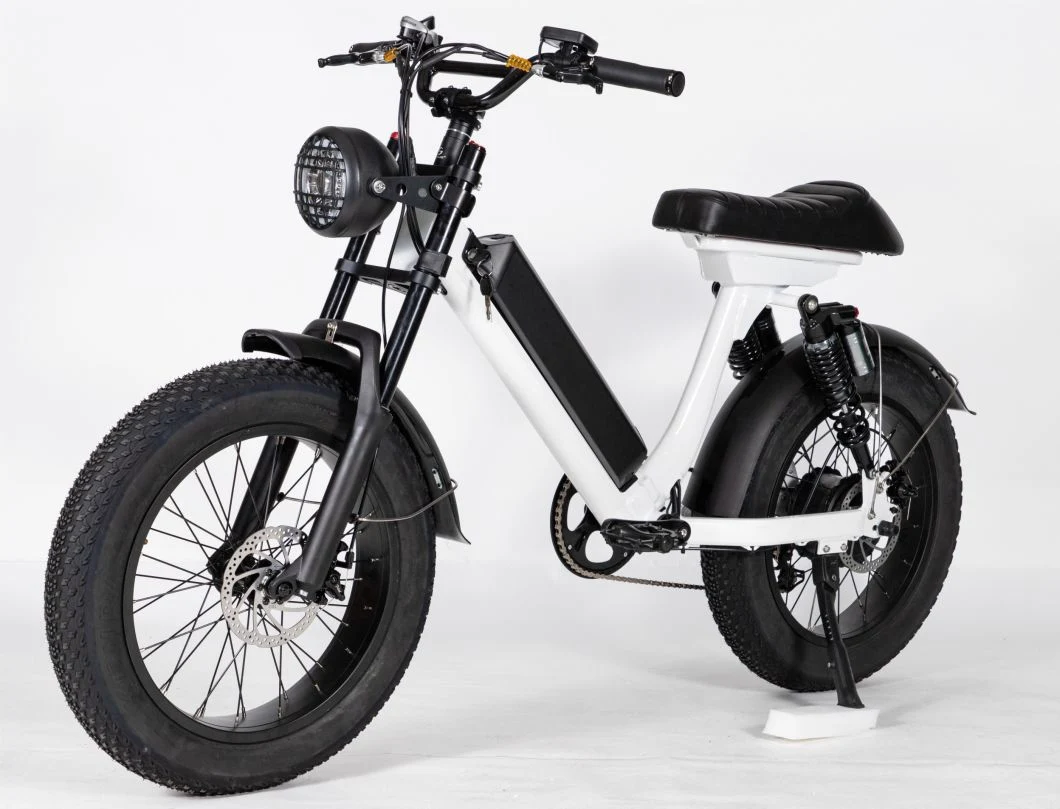 Bicicletta elettrica da 48 V 500 W con scooter elettrico a ruote fat