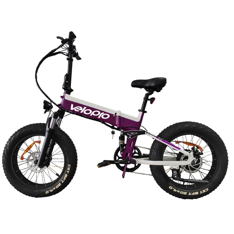 Forcella sospensione FAT Tire elettrica pieghevole Bike elettrica Moto elettrica