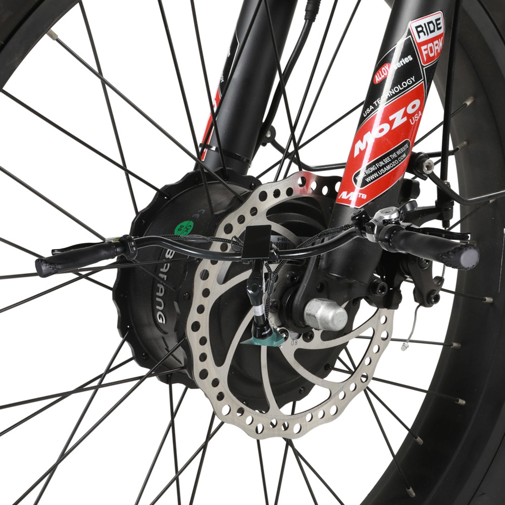 Bicicletta elettrica Triciclo Triciclo a 3 ruote Mountain Bike