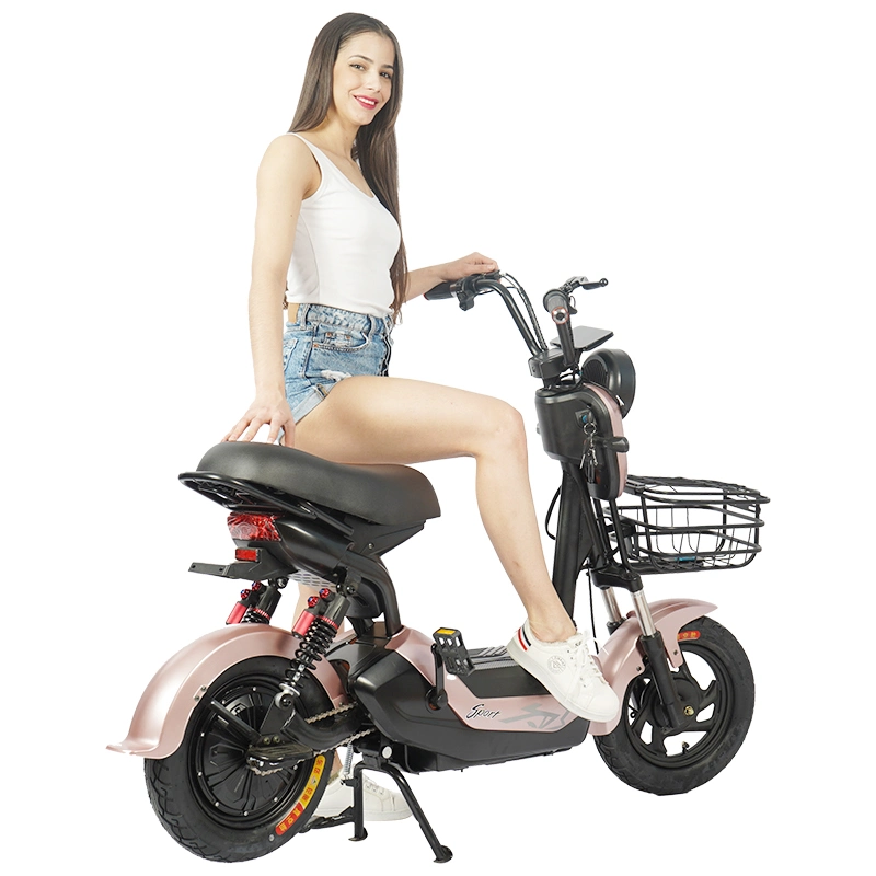 Moto scooter elettrico a 2 ruote Moto bicicletta elettrica