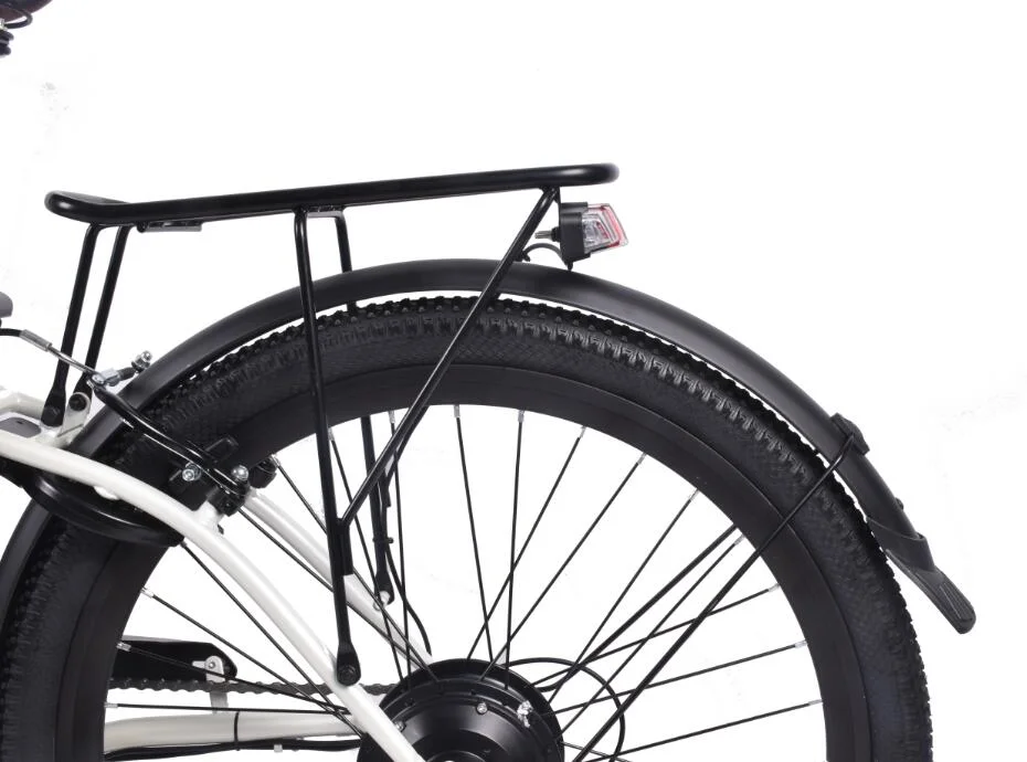 Motorino di azionamento posteriore eBike bici elettrica e smorzamento bicicletta e Ciclismo