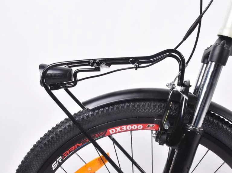 Motorino di azionamento posteriore eBike bici elettrica e smorzamento bicicletta e Ciclismo