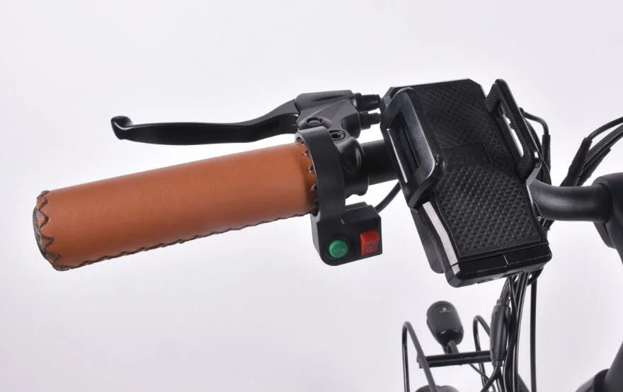 Motorino di azionamento posteriore eBike bici elettrica e smorzamento bicicletta e Ciclismo