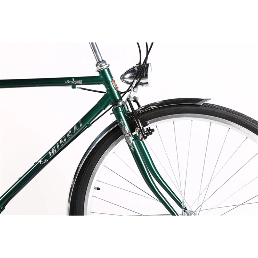 Bicicletta olandese da donna/bicicletta olandese da donna/bicicletta per citt&#224; pesante