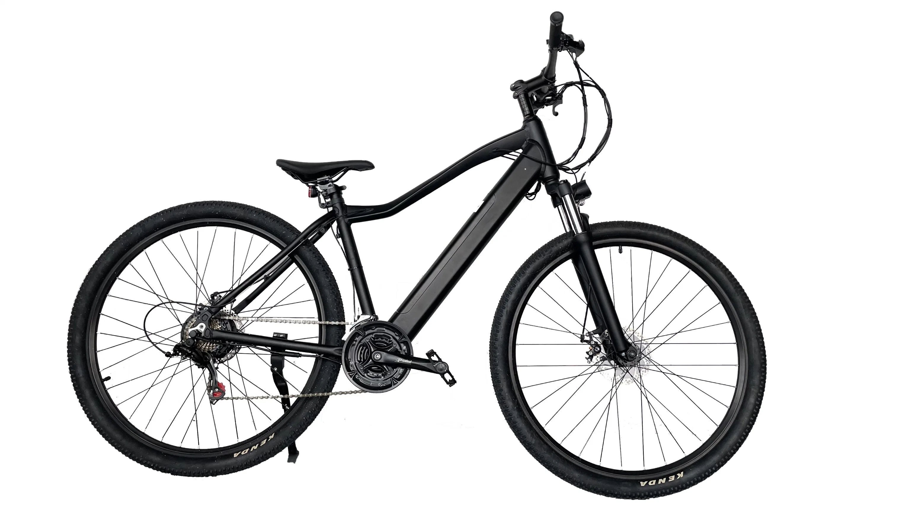 2023 Chanson 36V 250W bicicletta elettrica senza spazzole 21 velocit&#224; montagna Bicicletta elettrica