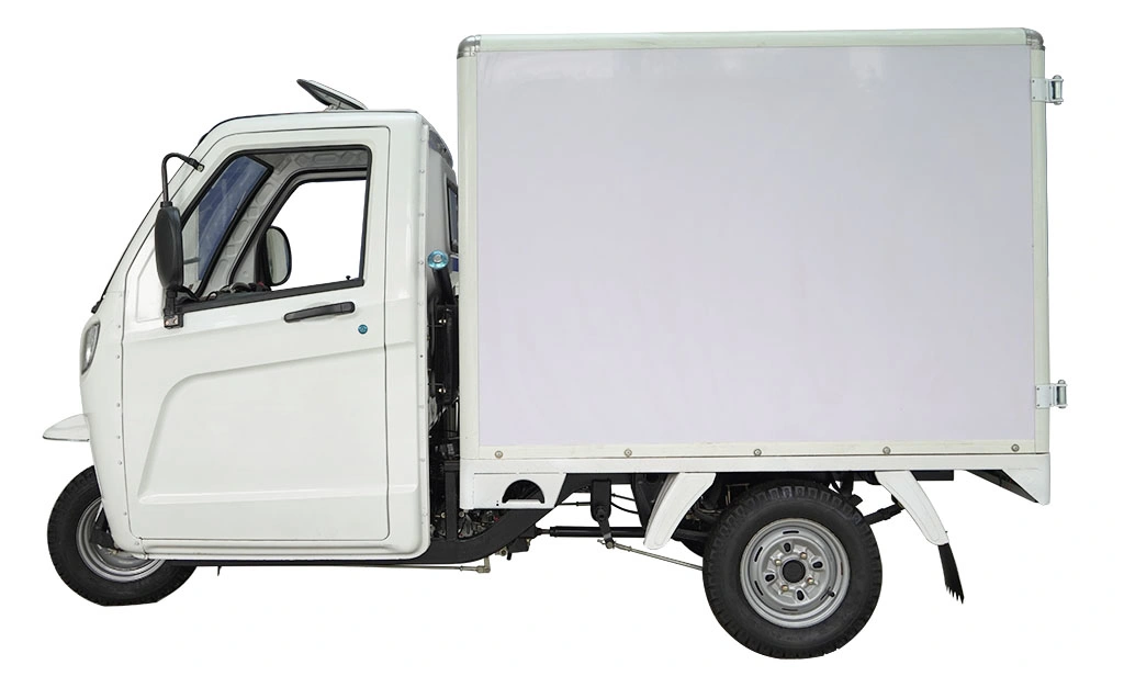 Cina Top-Brand Adulti tricicli motorizzati 250cc Big Space economici di buona qualit&#224; Cabina Tuktuk