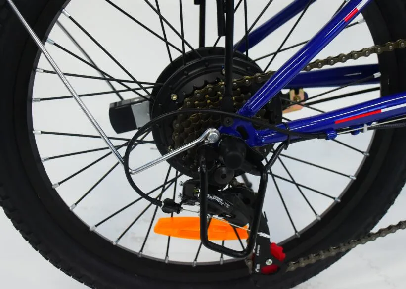 20 pollici di acciaio Lighium batteria Donne City biciclette elettriche