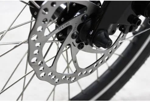 Mini bicicletta elettrica pieghevole da 250 W con ruote da 20 pollici