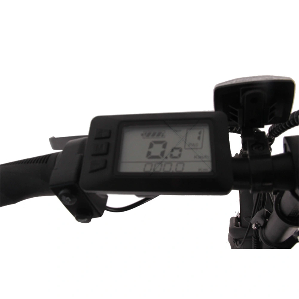 FAT Bike Fat Boy 1000 W 750 W con sospensione Fatbike pieghevole Bicicletta elettrica