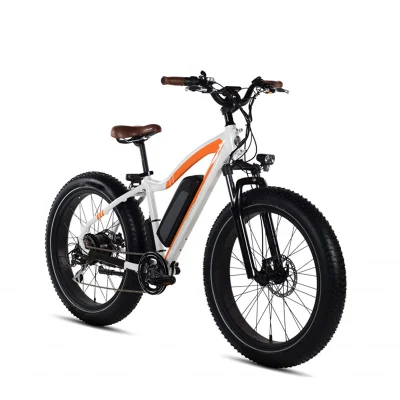 750V 48V шины электрической Ebike жира с14ah литиевая батарея рамы из алюминиевого сплава