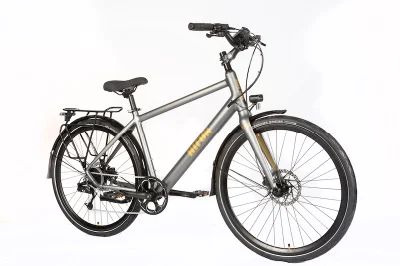 Горячие популярные электрический велосипед Pedelec Man Леди города Ebike