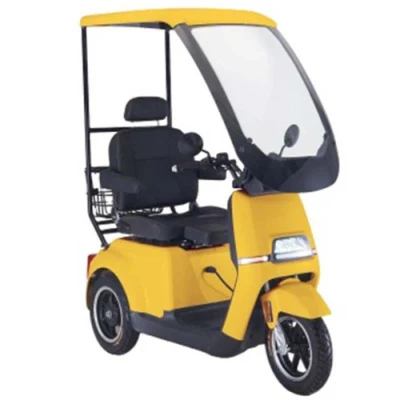 Cargo Bike Такси 3 колесо для Tuk Rickshaw Scooter Взрослый 2000 Вт автомобиль Velo взрослые запчасти мотоцикл электрический комплект электрический трехколесный