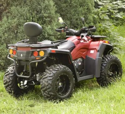 Газ ATV 800cc 1000cc ATV 4-тактный грязь на велосипеде
