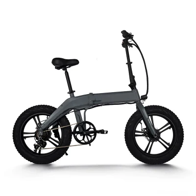 Cruiser High Speed Three Wheel EU City USA Warehouse Взрослый Квадроцикл Enduro Conversion Dirt Motor Women 20 дюйма Электрический велосипед