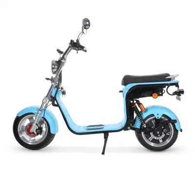 CF-2.0 электродвигателя цикла 1500W/2000W12ah/20AH Coc CE