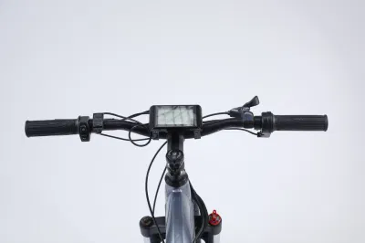 High-end оптовая oem 27.5/29 дюйма 48V мотор 500 Вт горных велосипедов с электроприводом велосипед