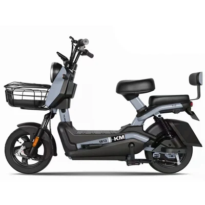 Популярные продукты 48V 350W E-Bike Motor Scooter для 2 Человека