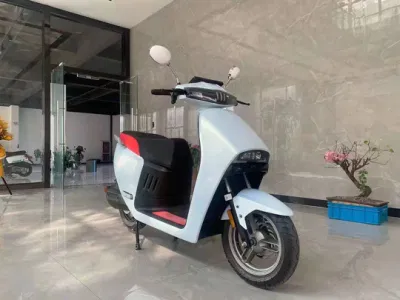 Самый дешевый электрический скутер Ebikes 350W (ES022)