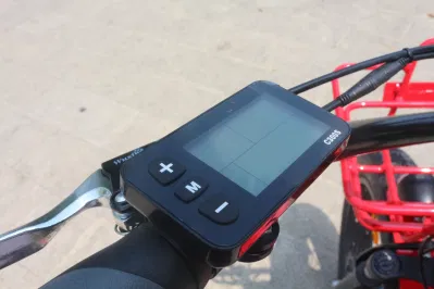 Электрический Trike инвалидных колясках 48V 500 W 24 дюйма 20дюйма мотоцикл электрический скутер велосипед электрический 3 Колеса велосипеда для взрослых электрический инвалидных колясках