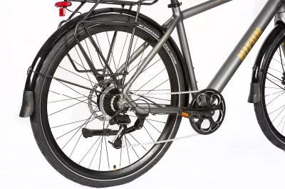 Горячие популярные электрический велосипед Pedelec Man Леди города Ebike