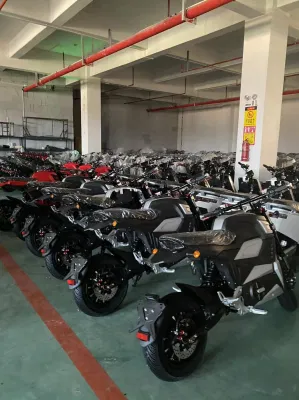 С высокой скоростью 60км/ч 2000W взрослых EEC Racing Sport Offroad сильное загрязнение Bike электродвигателем мотоцикл с электроприводом для скутера