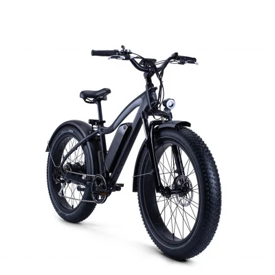 750V 48V шины электрической Ebike жира с14ah литиевая батарея рамы из алюминиевого сплава