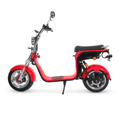 CF-2.0 электродвигателя цикла 1500W/2000W12ah/20AH Coc CE