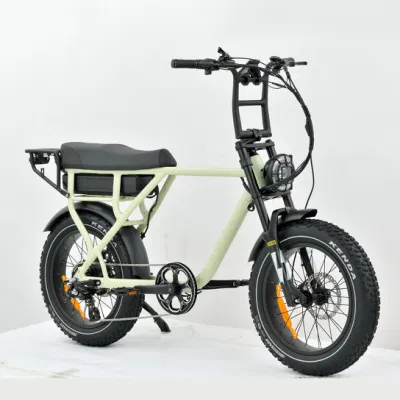 Завод в Китае, 750 Вт, 1000 Вт, с задним приводом, Fast Electric Mountain Велосипед Surron ретро Fat Ebike