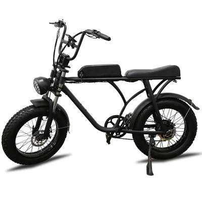 Европе электрический жир Bike 750 Вт алюминиевая рама для 20-дюймовый электрический жир велосипедов для людей всех возрастов