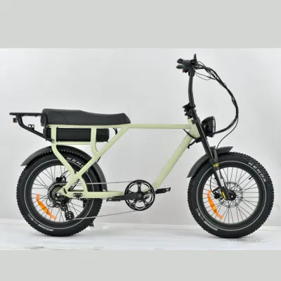 Завод в Китае, 750 Вт, 1000 Вт, с задним приводом, Fast Electric Mountain Велосипед Surron ретро Fat Ebike