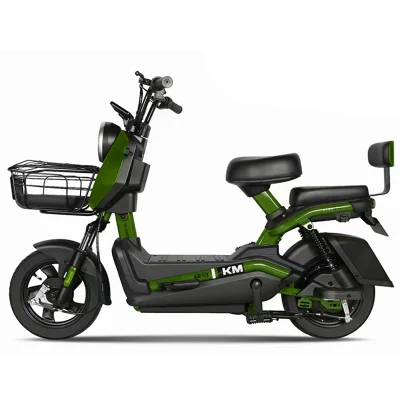 Популярные продукты 48V 350W E-Bike Motor Scooter для 2 Человека