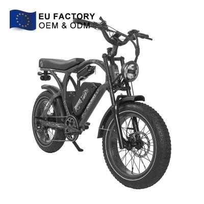 EU Factory High Power Adult Hybrid Mountain Ebike 20 Wheel Электрический городской велосипед