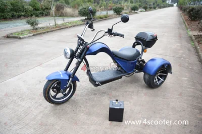 Электромоторик EEC&amp;COC 1500W-3000W 18in Tire Citycoco Electric Scooter