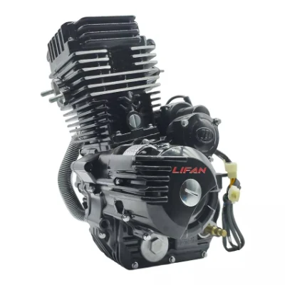 Для двигателей Bajaj Motorcycle 4-тактный двигатель водяного охлаждения Lifan Wolf 300cc Двигатель