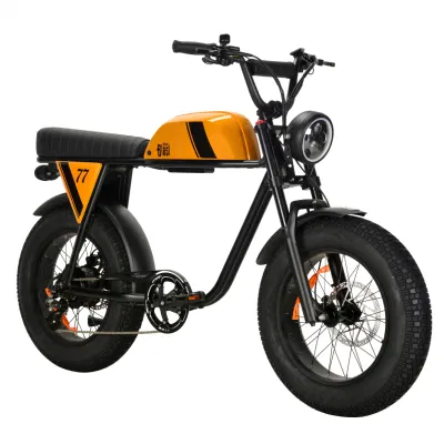  Электрический Minimoto 50-100км жир Ebike 750W 48V два скутера Pedalec Ebike аккумуляторной батареи