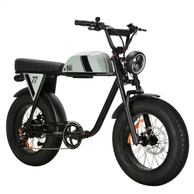 Электрический Minimoto 50-100км жир Ebike 750W 48V два скутера Pedalec Ebike аккумуляторной батареи