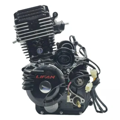 Для двигателей Bajaj Motorcycle 4-тактный двигатель водяного охлаждения Lifan Wolf 300cc Двигатель