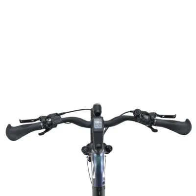 Artemis MID-Motor 27.5&quot; 48W 250 Вт ЖК дисплей электрический SUV E-Bike