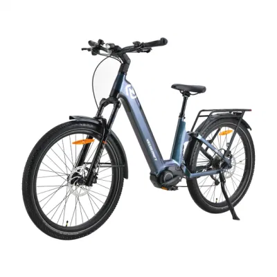 Artemis MID-Motor 27.5&quot; 48W 250 Вт ЖК дисплей электрический SUV E-Bike