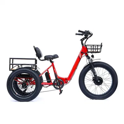 Сборные заводы США, 750 Вт, велосипед Cargo Turkey Electric Trike Big Мотоцикл с задней корзиной 3 колеса E Trike
